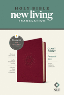 NLT Personal Size Giant Print Bible, Filament-Enabled Edition (Leatherlike, Aurora Cranberry, Red Letter)