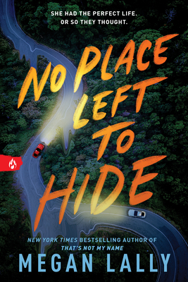 No Place Left to Hide - Lally, Megan