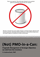 (Not) Pmo-In-A: : Pragmatic Management of Strategic Objectives (as Told from the Trenches)