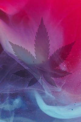 Notebook: Marijuana Leaf & Smoke - 6x9 Blank Journal with College Rule Lines - Books, Inward Journey