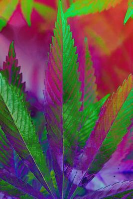 Notebook: Psychedelic Smoke and Pot Leaf Design - 6x9 Blank Notebook with College Rule Lines - Books, Inward Journey
