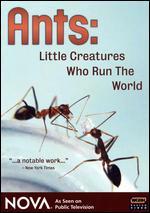 NOVA: Ants - Little Creatures Who Run the World