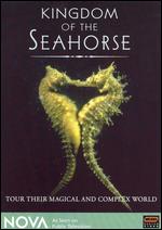 NOVA: Kingdom of the Seahorse - 