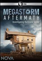 NOVA: Megastorm Aftermath