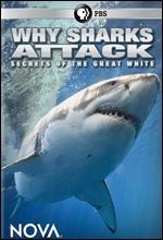 NOVA: Why Sharks Attack