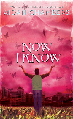 Now I Know - Chambers, Aidan