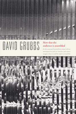 Now That the Audience Is Assembled - Grubbs, David
