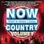 Now That's What I Call Country, Vol. 7