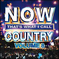 Now That's What I Call Country, Vol. 8 - Various Artists