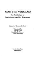 Now the volcano : an anthology of Latin American gay literature