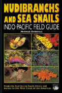 Nudibranchs and Sea Snails: Indo-Pacific Field Guide