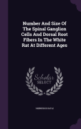 Number And Size Of The Spinal Ganglion Cells And Dorsal Root Fibers In The White Rat At Different Ages