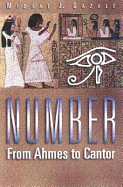 Number: From Ahmes to Cantor