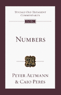 Numbers: An Introduction and Commentary