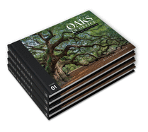 Oaks in Office: Biblical Essays for Political Leaders, Four Volume Set