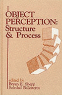 Object Perception: Structure and Process