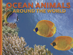 Ocean Animals Around the World