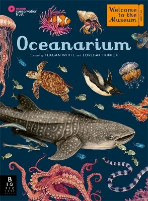 Oceanarium - Trinick, Loveday