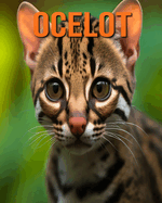 Ocelot: Le Guide Essentiel Consacr  Cet Animal Extraordinaire avec des Photos tonnantes