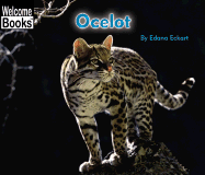 Ocelot