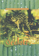 Ocelots