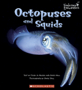 Octopuses and Squids (Undersea Encounters)