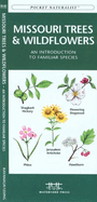 Oklahoma Trees & Wildflowers: An Introduction to Familiar Species
