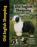 Old English sheepdog