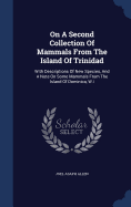 On a Second Collection of Mammals from the Island of Trinidad: With Descriptions of New Species, and a Note on Some Mammals from the Island of Dominica, W.I
