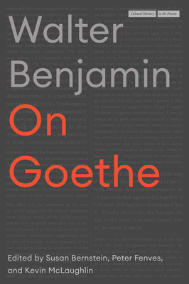 On Goethe - Benjamin, Walter, and Fenves, Peter (Editor), and McLaughlin, Kevin (Editor)
