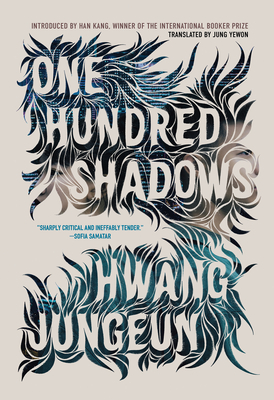 One Hundred Shadows - Jungeun, Hwang, and Yewon, Jung (Translated by)