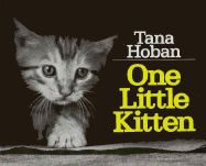 One Little Kitten - Hoban, Tana