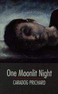 One Moonlit Night