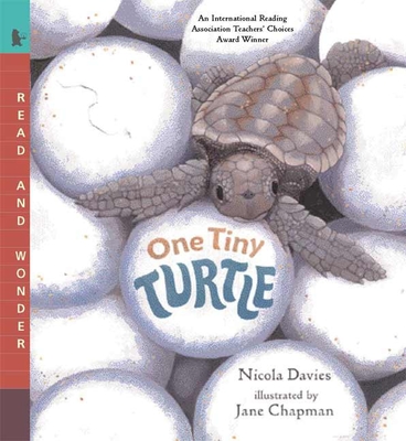 One Tiny Turtle: Read and Wonder - Davies, Nicola