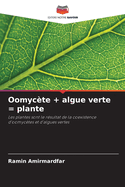 Oomyc?te + algue verte = plante