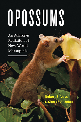 Opossums: An Adaptive Radiation of New World Marsupials - Voss, Robert S, and Jansa, Sharon A