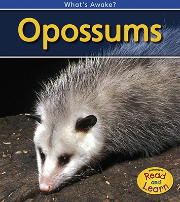 Opossums - Whitehouse, Patricia