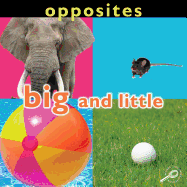 Opposites: Big and Little