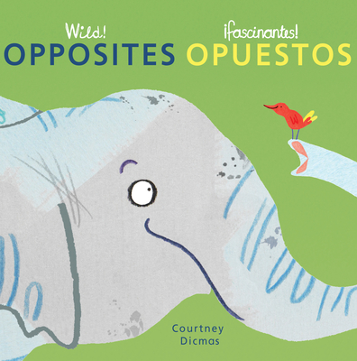 Opposites/Opuestos - Dicmas, Courtney (Illustrator), and Mlawer, Teresa (Translated by)