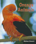 Orange Animals