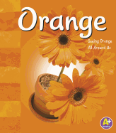 Orange: Seeing Orange All Around Us