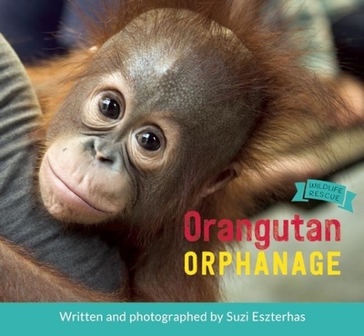 Orangutan Orphanage - Eszterhas, Suzi (Photographer)