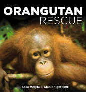 Orangutan Rescue: Saving Borneo's Orangutans