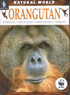 Orangutan