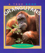 Orangutans - Martin, Patricia A Fink