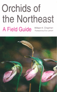 Orchids of the Northeast: A Field Guide