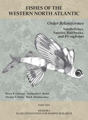 Order Beloniformes: Needlefishes, Sauries, Halfbeaks, and Flyingfishes: Part 10 - Collette, Bruce B, and Bemis, Katherine E, and Parin, Nicolay V