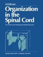Organization in the Spinal Cord: The Anatomy and Physiology of Identified Neurones