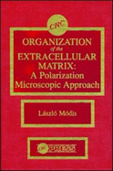 Organization of the Extracellular Matrix