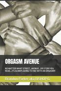 Orgasm Avenue: No Matter What Street...Avenue...or Story You Read...Its Always Going to End with an Orgasm!!!